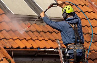 Démoussage et hydrofuge de toiture à Ligron